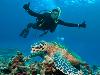 Great Barrier Reef